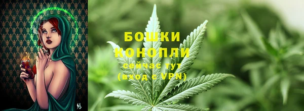 экстази Болотное
