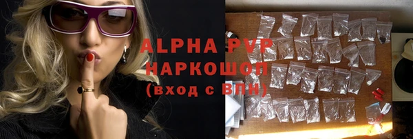 стаф Билибино