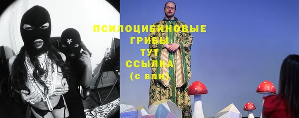 мдпв Богородицк