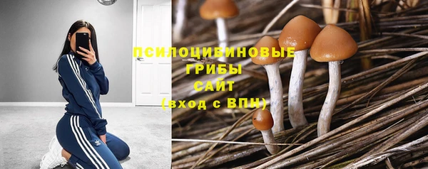 стаф Билибино