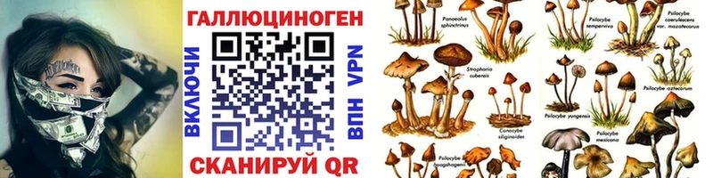 Псилоцибиновые грибы GOLDEN TEACHER  Змеиногорск 