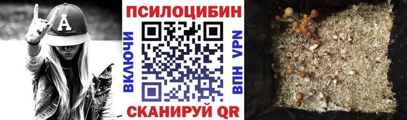 Галлюциногенные грибы Cubensis Змеиногорск