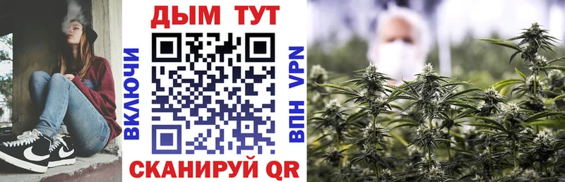 где можно купить   Змеиногорск  Шишки марихуана THC 21% 